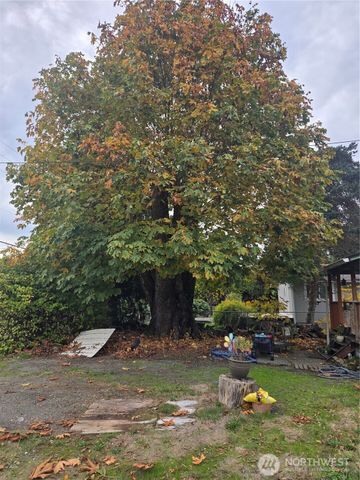 7610 Union Mills Road SE, Lacey, WA 98503