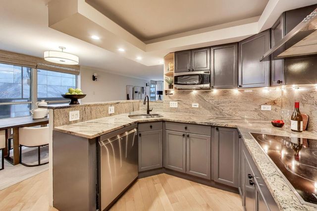201 E Chestnut Street 3A, Chicago, IL 60611