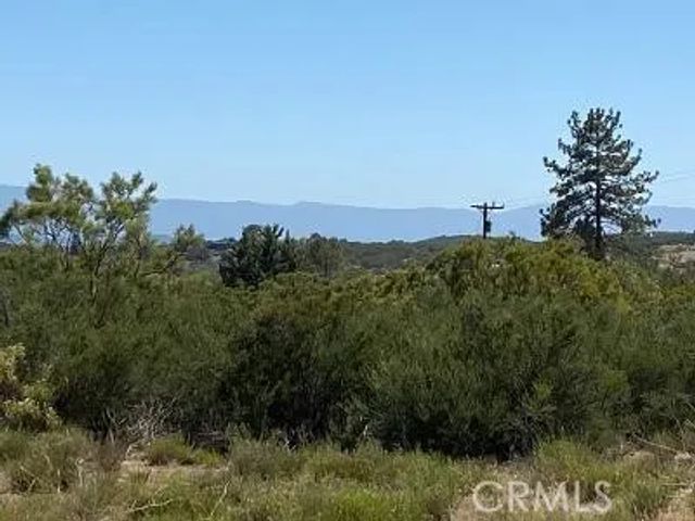 19 Higgins, Anza, CA 92539