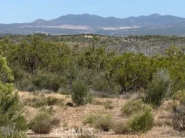 19 Higgins, Anza, CA 92539