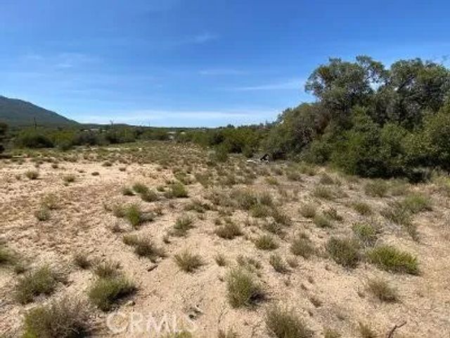 19 Higgins, Anza, CA 92539