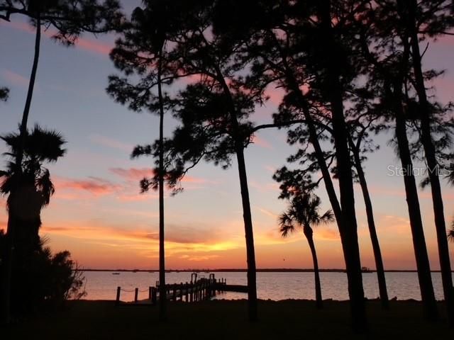 2700 BAYSHORE BOULEVARD 2310, Dunedin, FL 34698