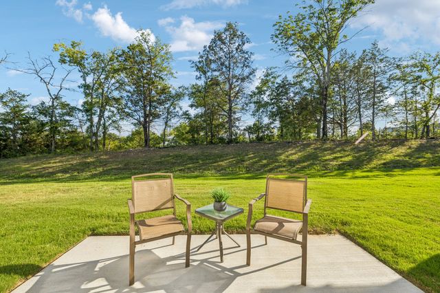 351 Carver Connection, Lebanon, TN 37087