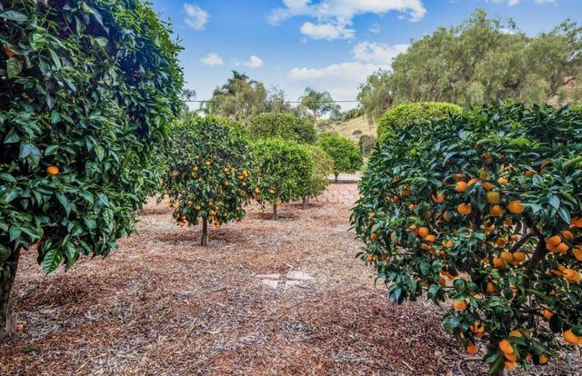 2035 41 Mango Glen, Vista, CA 92084