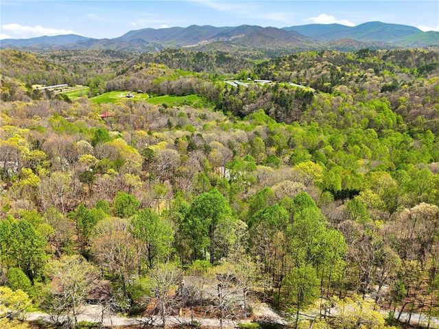 183 Dogwood Court, Ellijay, GA 30540