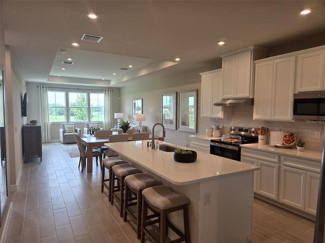 18879 DRIFTING ELM STREET, Spring Hill, FL 34610