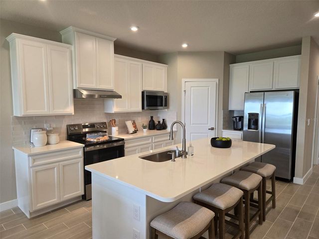 18879 DRIFTING ELM STREET, Spring Hill, FL 34610
