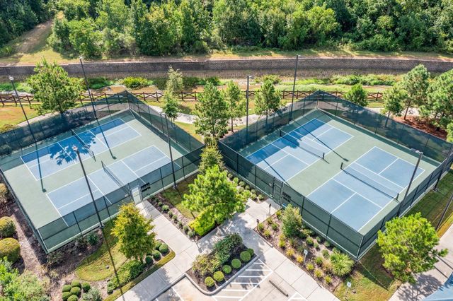 253 Palomino Court, The Woodlands, TX 77382