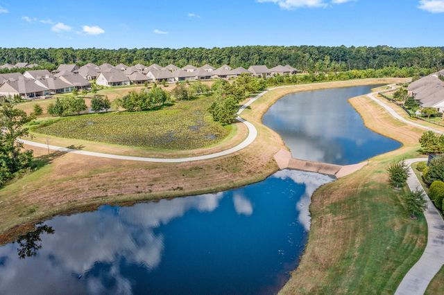 253 Palomino Court, The Woodlands, TX 77382