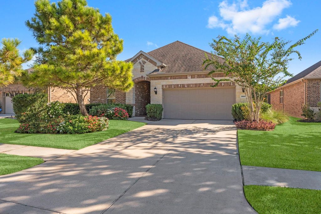 253 Palomino Court, The Woodlands, TX 77382