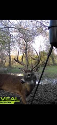 10600 River Ranch Rd, Kemp, TX 75143