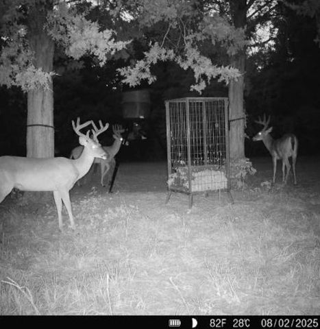 10600 River Ranch Rd, Kemp, TX 75143