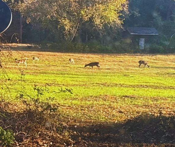 11631 Moser Ln, Whitehouse, TX 75791