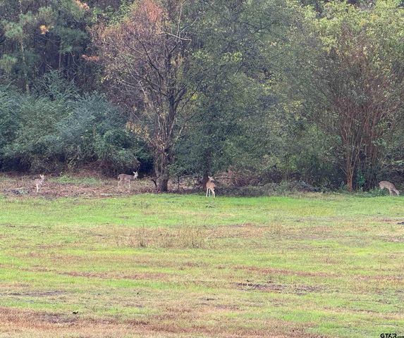 11631 Moser Ln, Whitehouse, TX 75791