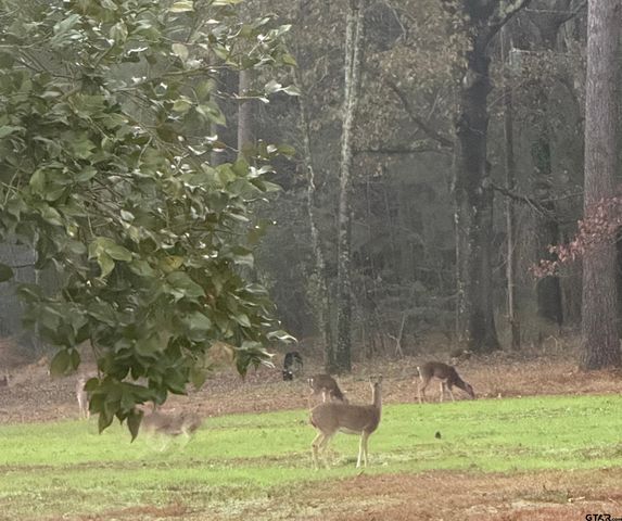 11631 Moser Ln, Whitehouse, TX 75791