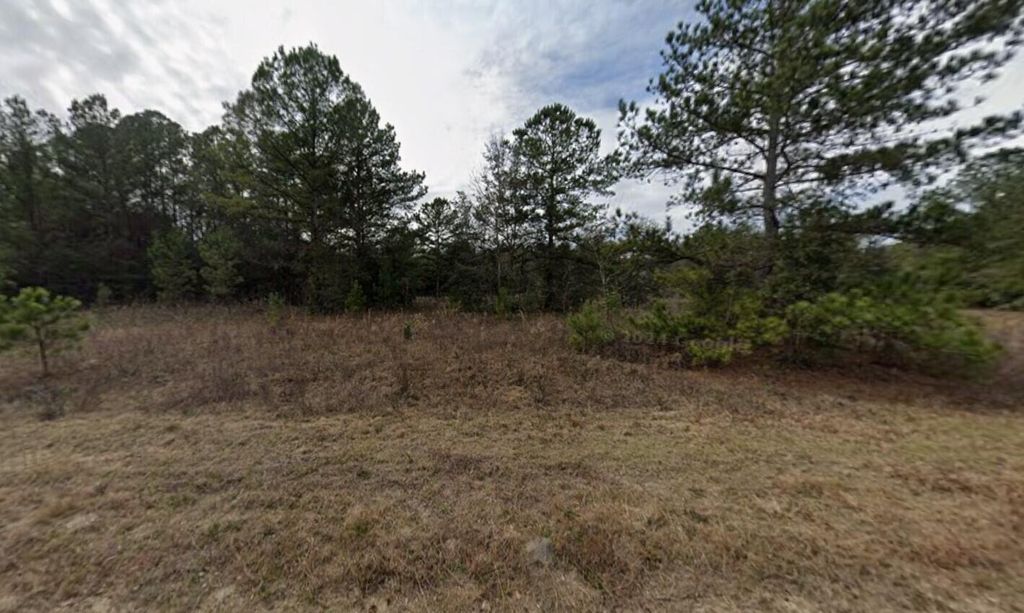 Tbd Mullins Avenue, Interlachen, FL 32148