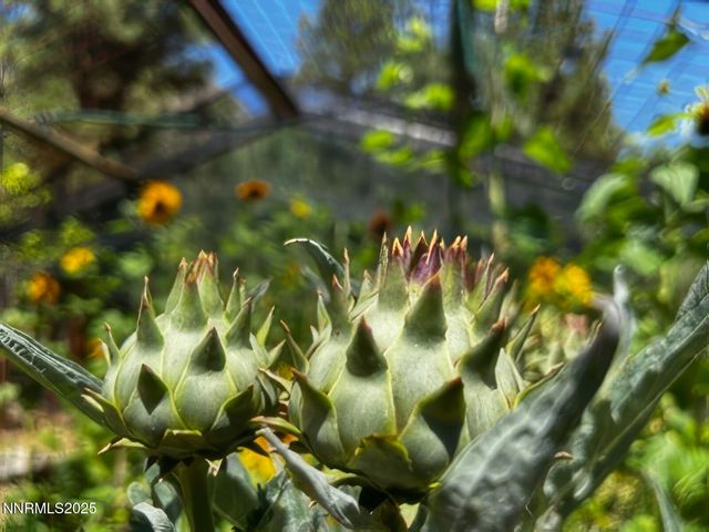 5720 Money Road, Beckwourth, CA 96129