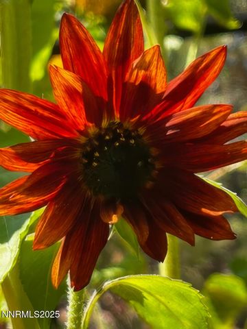 5720 Money Road, Beckwourth, CA 96129