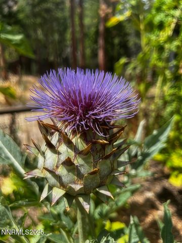 5720 Money Road, Beckwourth, CA 96129