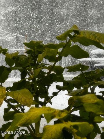 5720 Money Road, Beckwourth, CA 96129