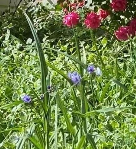 58 Glenn Eagles Way, Hiram, GA 30141