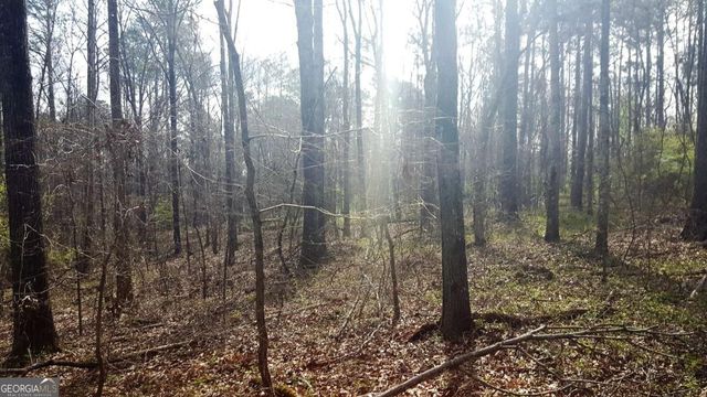 0 Stagecoach Road 20.17 ACRES, Stockbridge, GA 30281