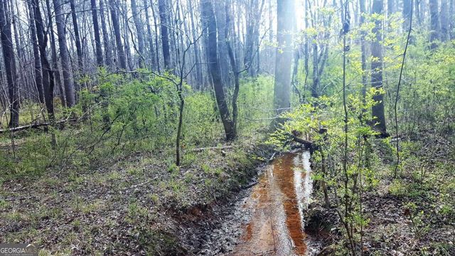 0 Stagecoach Road 20.17 ACRES, Stockbridge, GA 30281