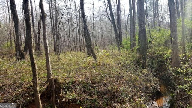 0 Stagecoach Road 20.17 ACRES, Stockbridge, GA 30281