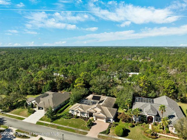 5383 Firethorn Point, Spring Hill, FL 34609