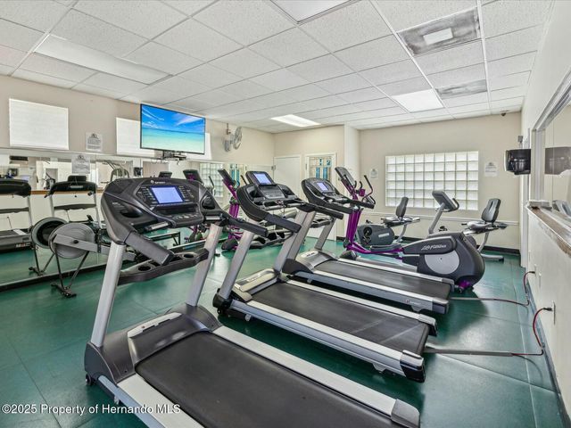 5383 Firethorn Point, Spring Hill, FL 34609