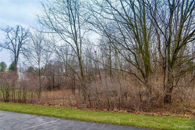 00 Autumn View Lane, Metamora, MI 48455
