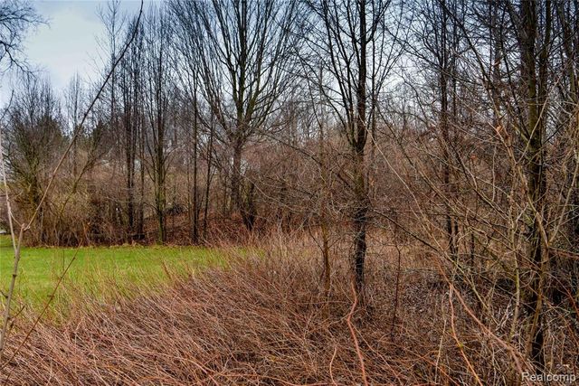 00 Autumn View Lane, Metamora, MI 48455