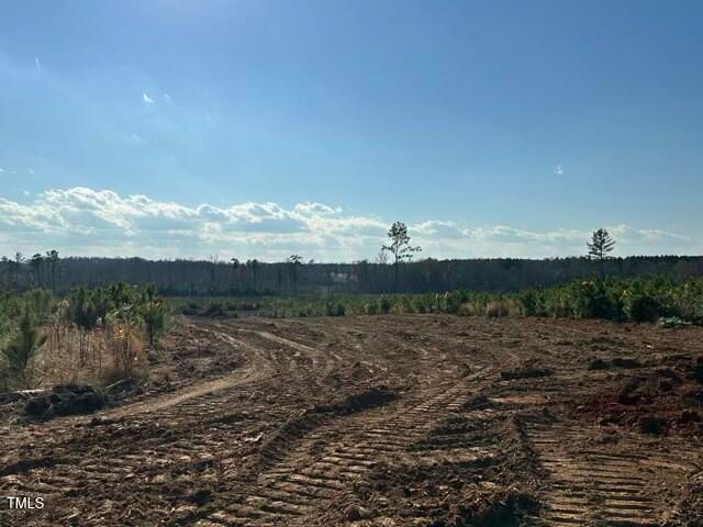 Lot 19 Good Shepherd Trail, Spring Hope, NC 27882