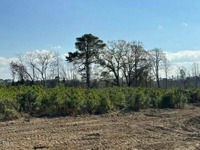 Lot 19 Good Shepherd Trail, Spring Hope, NC 27882