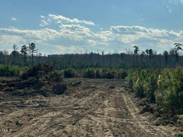 Lot 19 Good Shepherd Trail, Spring Hope, NC 27882