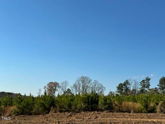 Lot 19 Good Shepherd Trail, Spring Hope, NC 27882