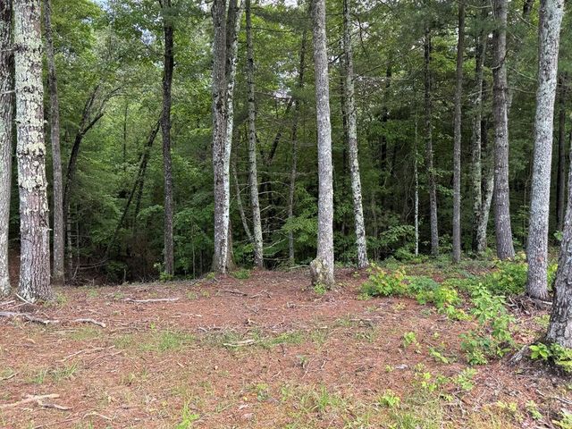 Lot 69 Thundering Hill, Murphy, NC 28906