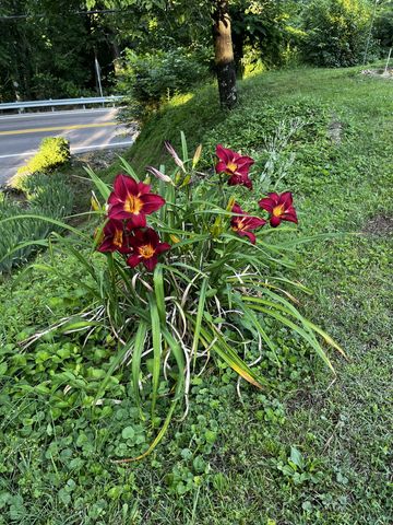 1763 Highway 166, N, Mount Pleasant, TN 38474