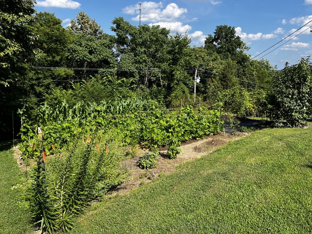 1763 Highway 166, N, Mount Pleasant, TN 38474