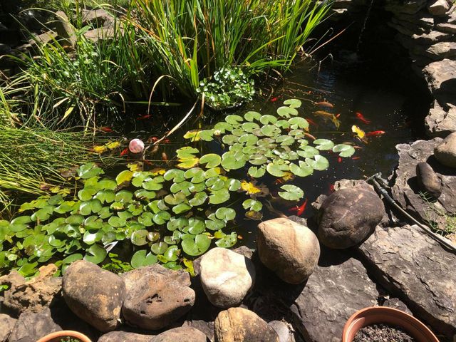 1044 Andrews Road, Sparta, MO 65753