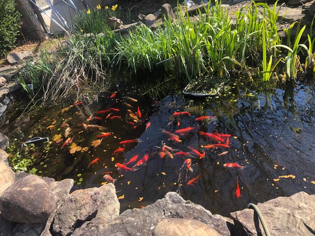 1044 Andrews Road, Sparta, MO 65753