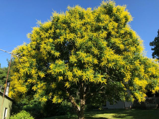 1044 Andrews Road, Sparta, MO 65753