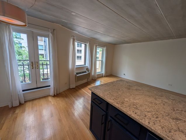 711 W Gordon Terrace 305, Chicago, IL 60613