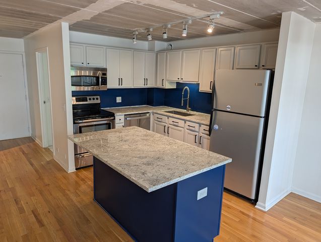 711 W Gordon Terrace 305, Chicago, IL 60613