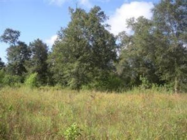 1108 Miracle Dr Drive, Conroe, TX 77301