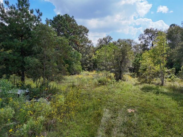 1108 Miracle Dr Drive, Conroe, TX 77301