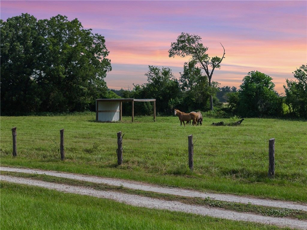 11043 County Road 336, Caldwell, TX 77836 — exterior
