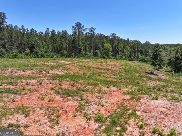 259 Garner Road, Buchanan, GA 30113