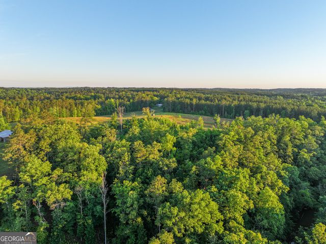 259 Garner Road, Buchanan, GA 30113