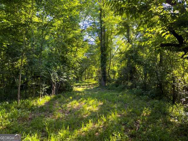 259 Garner Road, Buchanan, GA 30113